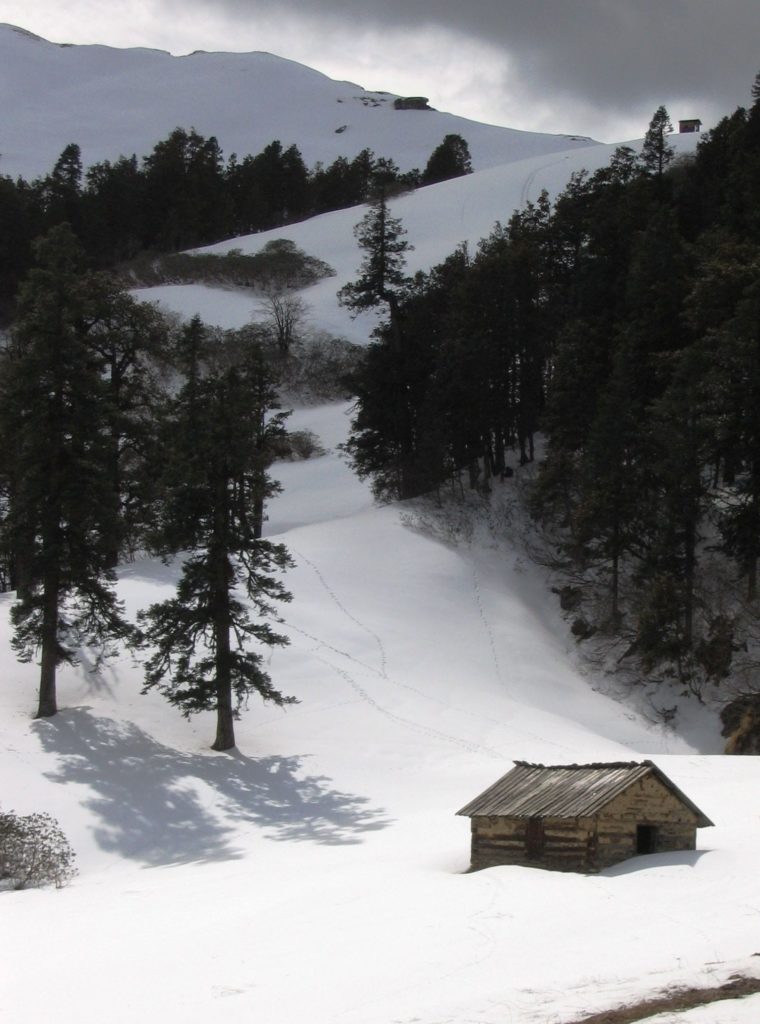 Dhel Meadow in GHNP under snow