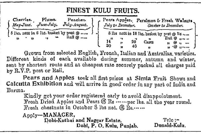 A publicity pamphlet on fruits including apples by Willie Donald, who owned estates in Dobhi and Naggar