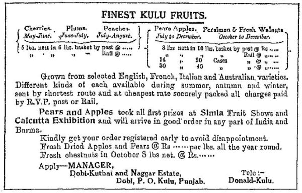 A publicity pamphlet on fruits including apples by Willie Donald, who owned estates in Dobhi and Naggar