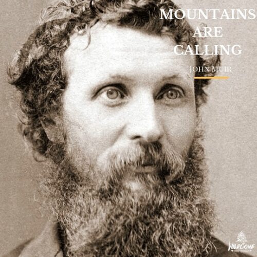 John Muir