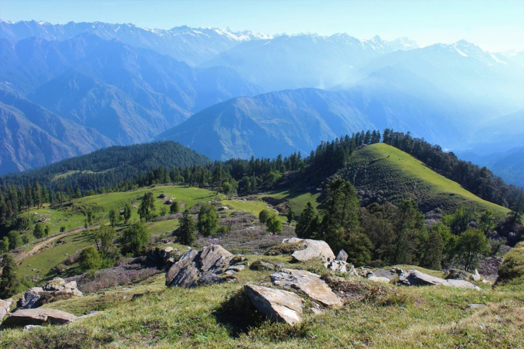 Meadows on Kedarkantha trek