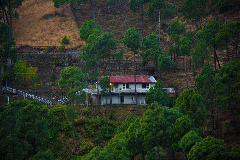 Top Hill Villas In And Around Kasauli