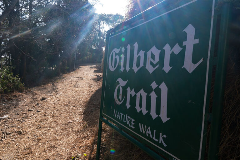 Gilbert Trail, Kasauli