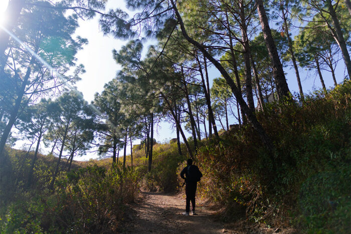 Kasauli hikes