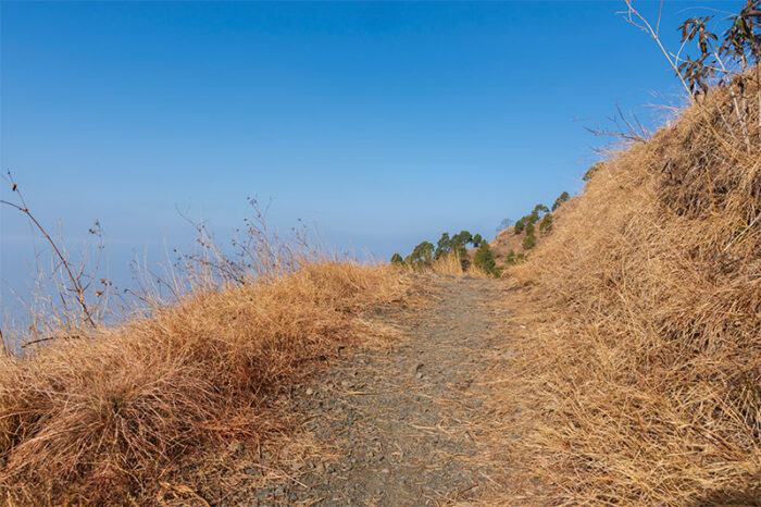 Gilbert trail in Kasauli