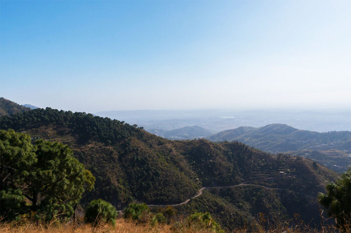 Khushwant Singh trail in Kasauli