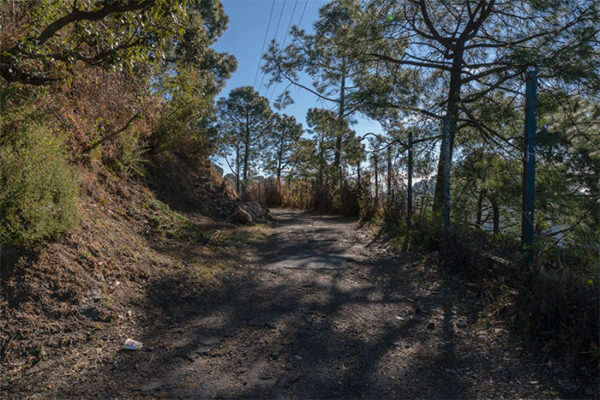 Trails in Kasauli