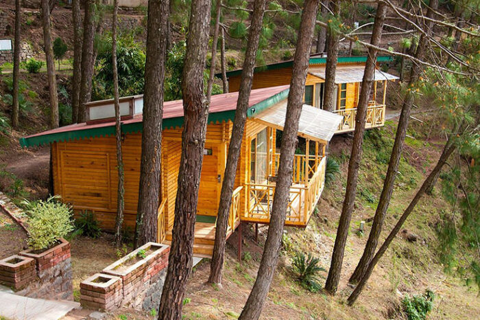 Kasauli Hills Resort