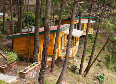 Kasauli Hills Resort
