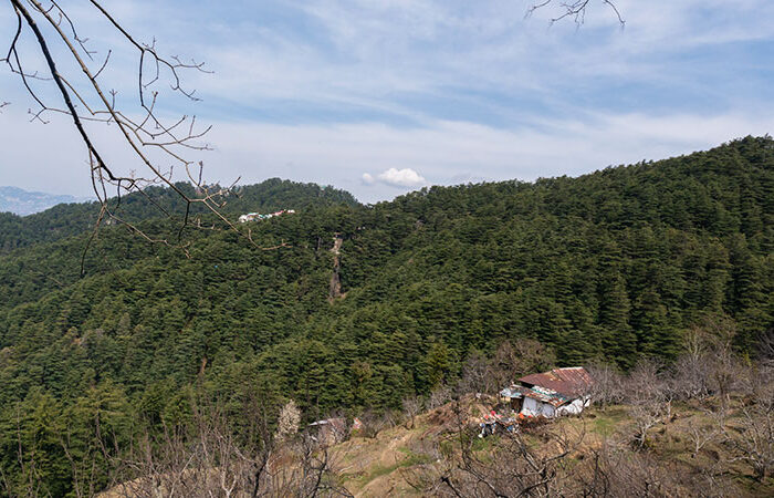 Chail sanctuary