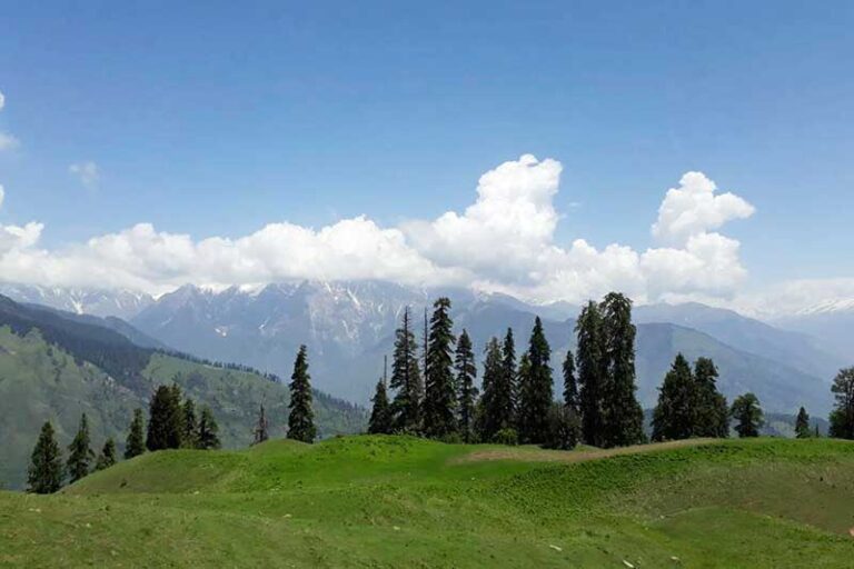 Kufri on way to Fungani Top