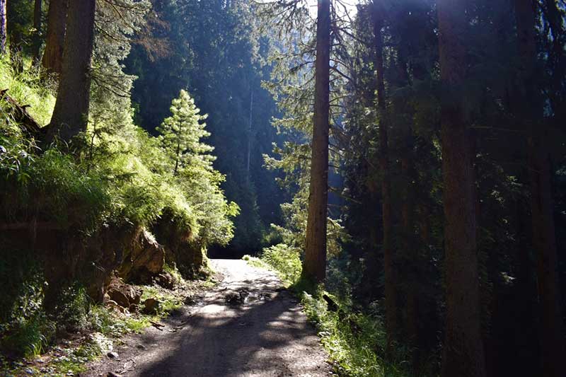 bijli mahadev trek