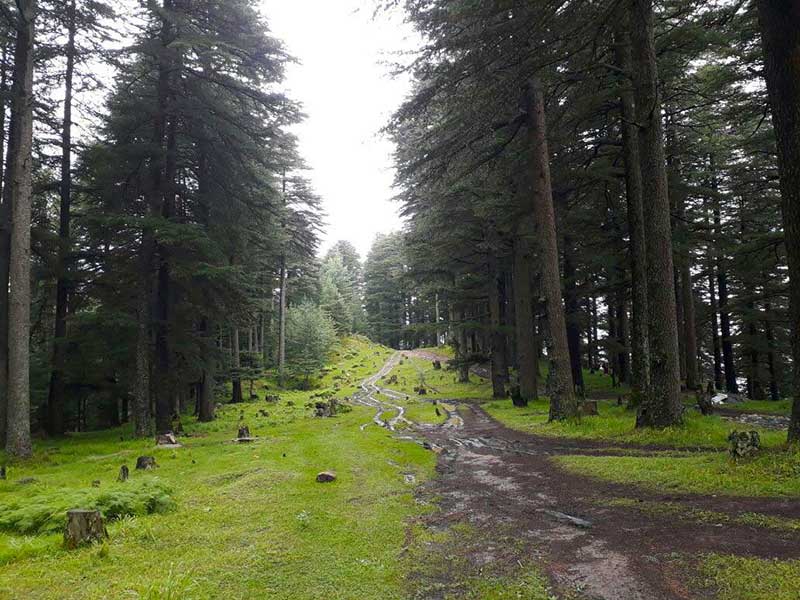 jana bijli mahadev trek