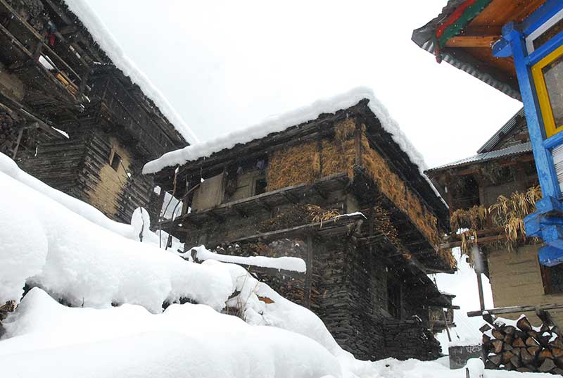 malana houses