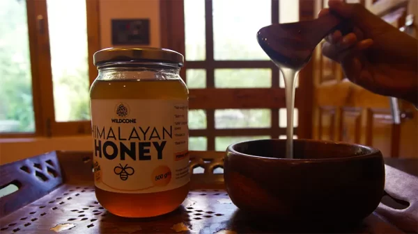 Delicious Himalayan Honey from Wildcone