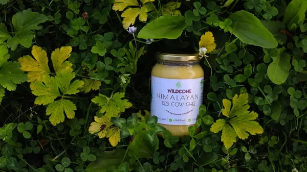 himalayan-desi-ghee-from-wildcone-manali