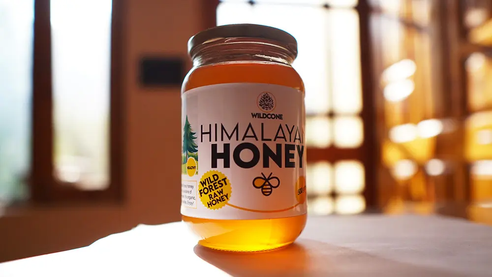 wildcone wild forest honey