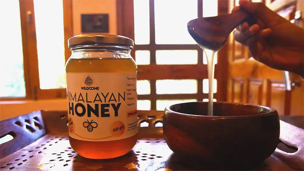 Delicious Himalayan Honey from Wildcone