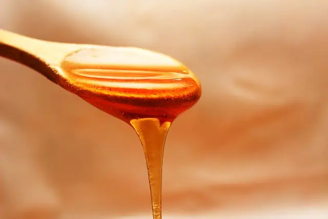 honey anti oxidant