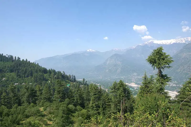 A view of forests from Naggar 