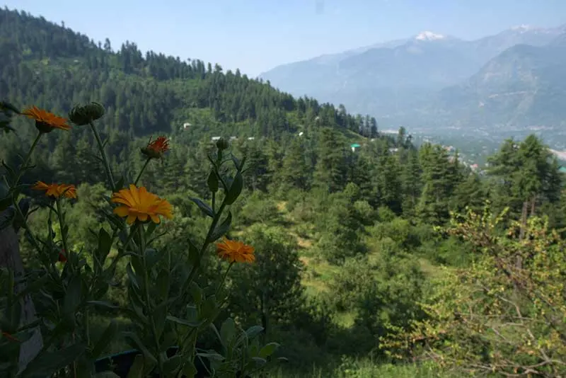 Naggar village is situated literally in the lap of the Himalayas.