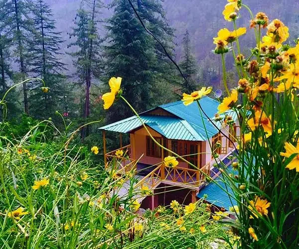 Parvati Kuteer log hut cottage in Kasol