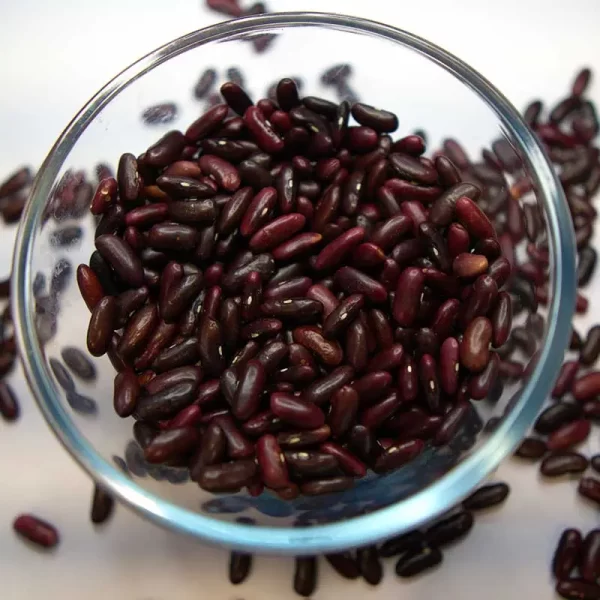 Himalayan Desi Rajma from Kullu Manali | 500 gm