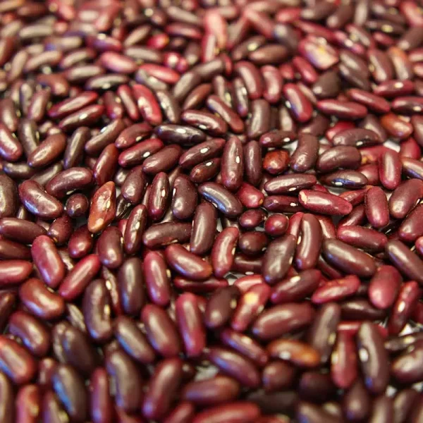 Himalayan Desi Rajma from Kullu Manali | 500 gm