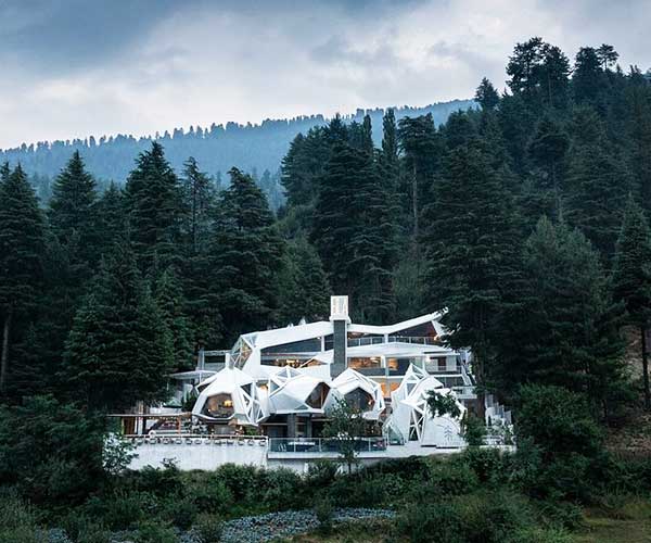 Tree of Life in Naggar near Manali
