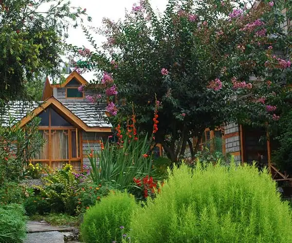 Treetops cottages in Naggar