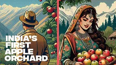 the first apple orchard of India video