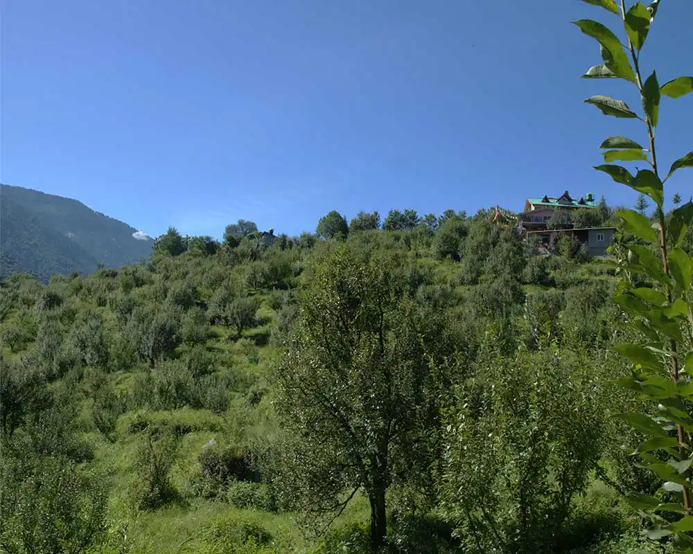 The first apple orchard of India in Bandrol village in Kullu. The orchard was planted in 1870.