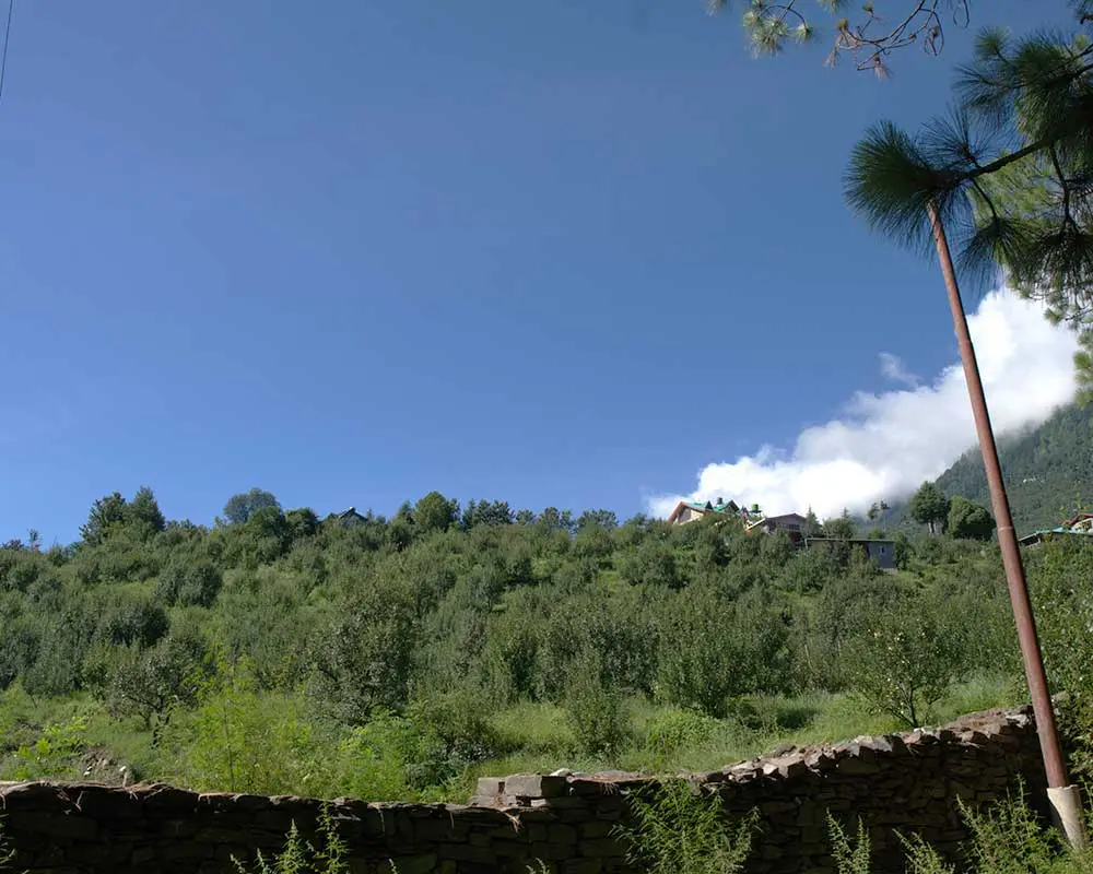 A view of the first apple orchard of India in Bandrol village of Kullu district in Himachal Pradesh 