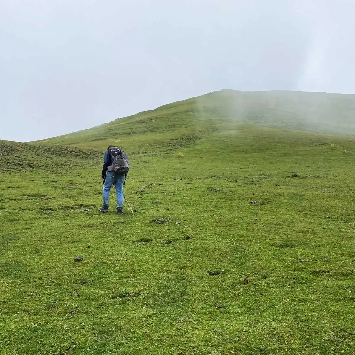 At the top of the misty Fungani mountain in Kullu