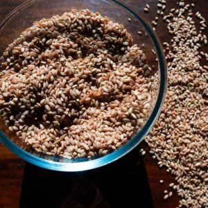 Red rice or Jattu Chawal from Kullu Manali