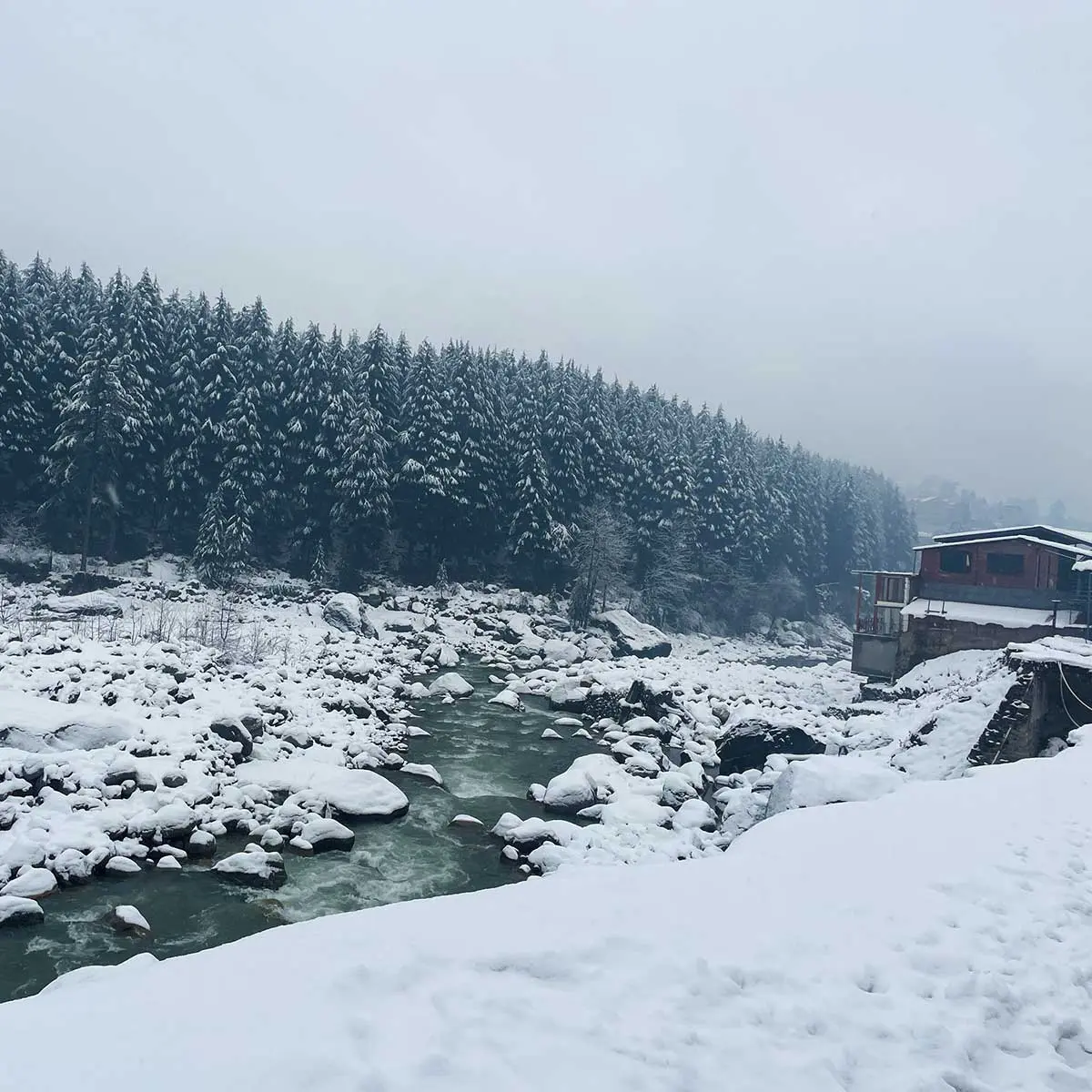 Manali is covered in snow in winters