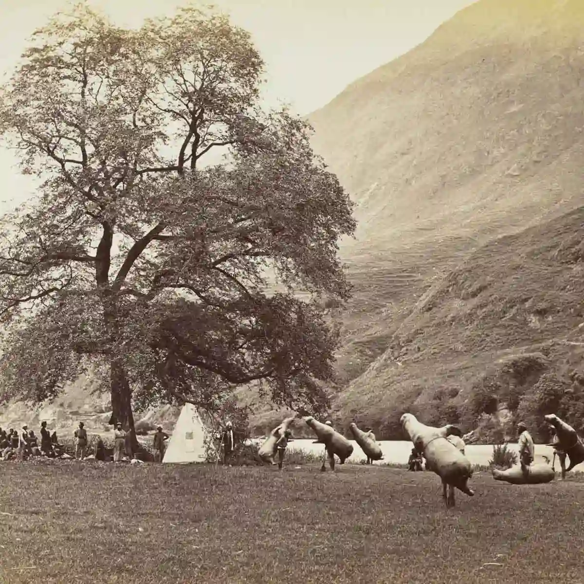 Men carrying mussucks on the bank of beas river
