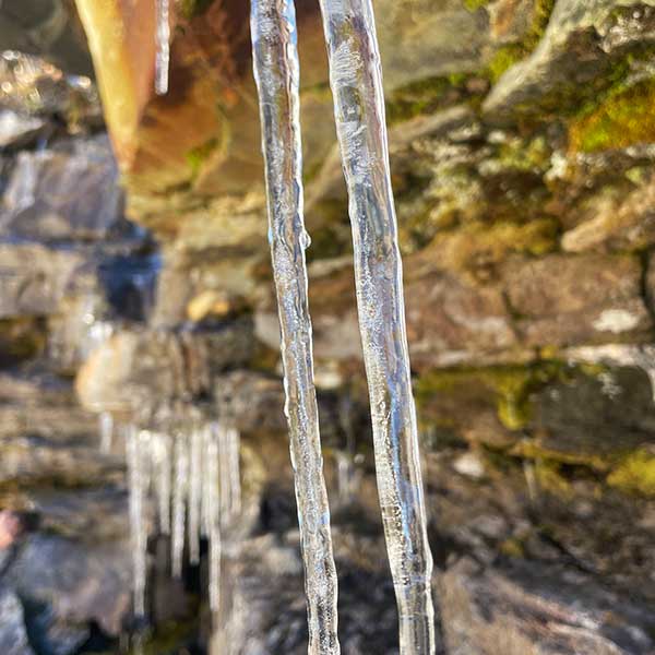 Icicles on Dashaur lake trek